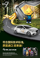 符合国际技术标准，原装进口 润滑油！